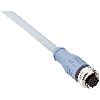 M12 Fem Droit 12p/M12 Mâle Droit 12p; PVC Blindé 12 fils 2m