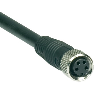 M08 Fem Droit 4p; Câble PUR 4x0.34 Noir 15m