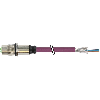 M12B Fem Droit 2p; PUR UL/CSA Blindé 1x2x0,64 Violet Cpc 1m Profibus