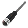 M12A Fem Droit 5p; Câble PVC 5x034 Gris 5m (60V)
