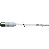 M12A Fem Droit 5p Inox V4A F&B; Câble PVC 5x0,34 Blindé Gris 10m