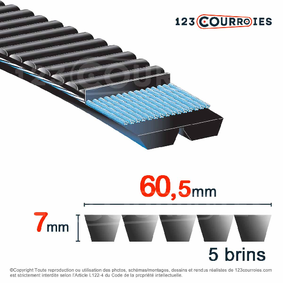 Courroie trapézoïdale polyuréthane Banflex 5-11MS775 Courroie trapézoïdale polyuréthane Banflex 5-11MS775-Lire la description