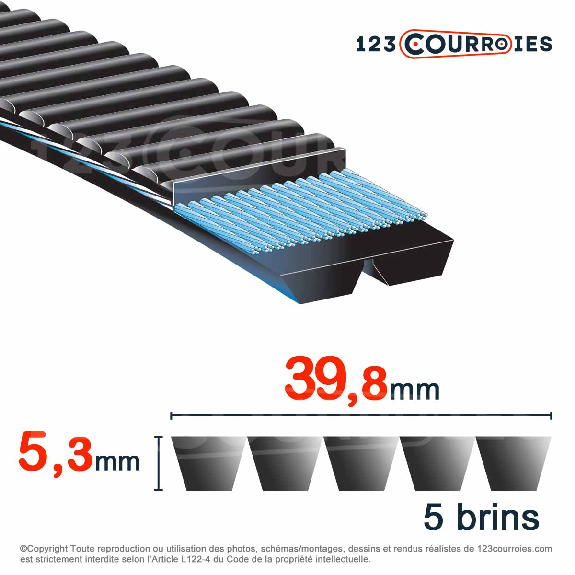 Courroie trapézoïdale polyuréthane Banflex 5-7MS1800 Courroie trapézoïdale polyuréthane Banflex 5-7MS1800-Lire la description