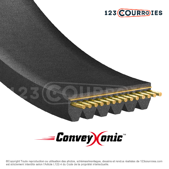 Courroie Conveyxonic 8PK573-Lire la description