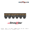 Courroie Conveyxonic 8PK573