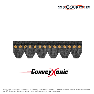 Courroie Conveyxonic 8PK573-Lire la description