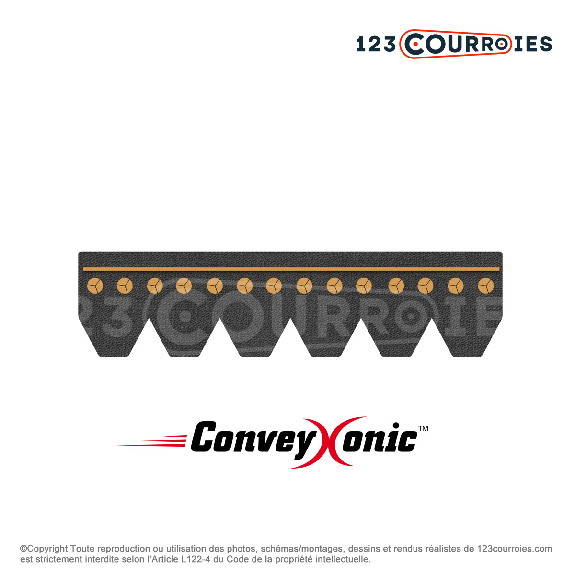 Courroie Conveyxonic 8PK573-Lire la description