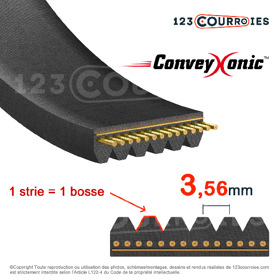 Courroie Conveyxonic 8PK573-Lire la description