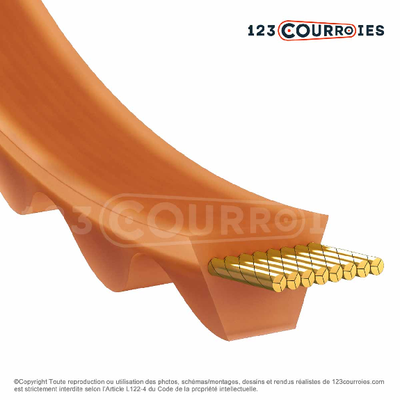 Courroie trapézoidale crantée polyuréthane VC6X289 La-Leggi tutto