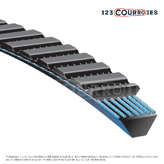 Courroie trapézoïdale polyuréthane Polyflex 5M345-Lire la description