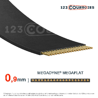 Courroie plate sans fin Megaflat T150-300-10-MEGADYNE-Lire la description