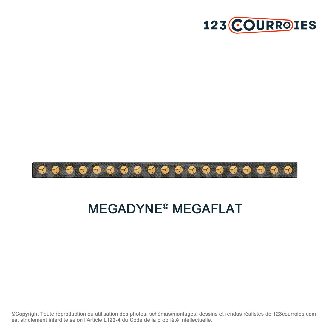 Courroie plate sans fin Megaflat T150-300-10-MEGADYNE-Lire la description