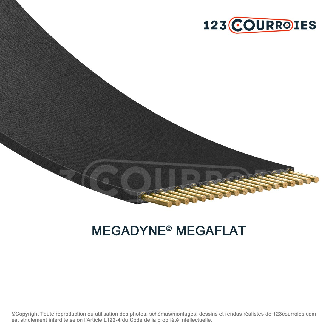 Courroie plate sans fin Megaflat T150-300-10-MEGADYNE-Lire la description