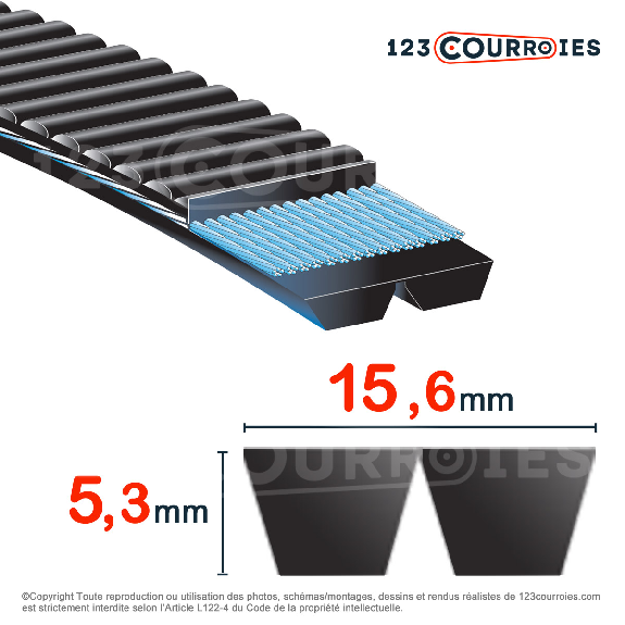 Courroie trapézoïdale polyuréthane Polyflex 7M580/2 Courroie trapézoïdale polyuréthane Polyflex 7M580/2-Lire la description