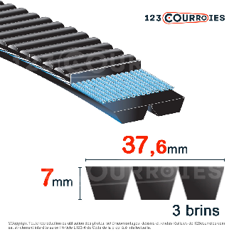 Courroie trapézoïdale polyuréthane Polyflex 11M2060/3-Lire la description