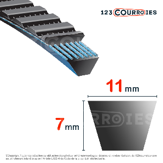 Courroie trapézoïdale polyuréthane Polyflex 11M1150-Lire la description