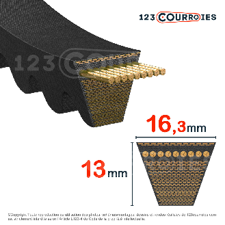 Courroie trapézoidale crantée Texrope HFX Plus XPB2020 / 5VX800-Lire la description