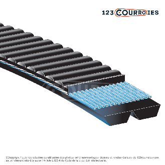 Courroie trapézoïdale polyuréthane Banflex 3-5MS975-Lire la description