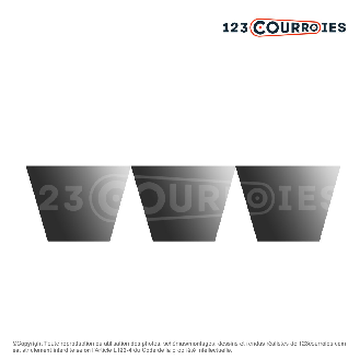 Courroie trapézoïdale polyuréthane Banflex 3-5MS975-Lire la description