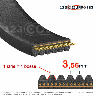 Courroie poly-v RB 9PK775-Lire la description