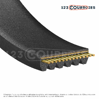 Courroie poly-v RB 9PK775-Lire la description