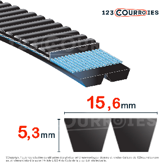 Courroie trapézoïdale polyuréthane Polyflex 7M1250/2-Lire la description