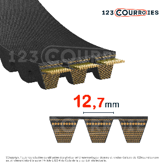 Courroie Quad Power 4 Powerband 2-XPA1450-Lire la description