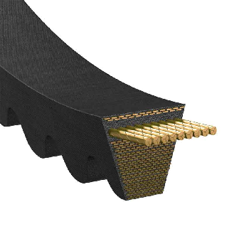 Courroie trapézoidale crantée Conti V FO AX37 13 x 940 Li / 970 Ld-Lire la description