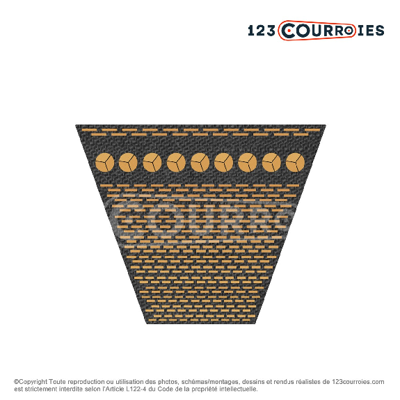 Courroie trapézoidale crantée Gold Label CX 3512 Ld / 22 x 3454 Li-Lire la description