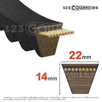 Courroie trapézoidale crantée Gold Label CX 3512 Ld / 22 x 3454 Li-Lire la description
