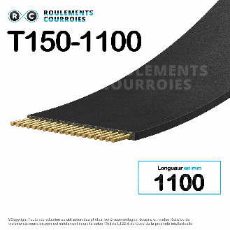 Courroie plate sans fin Megaflat T150-1100-55-MEGADYNE-Lire la description