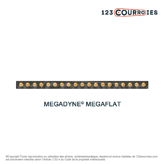 Courroie plate sans fin Megaflat T150-1100-55-MEGADYNE Courroie plate sans fin Megaflat T150-1100-55-MEGADYNE-Lire la description