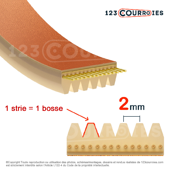 Courroie poly-v 8-266TB2-Lire la description