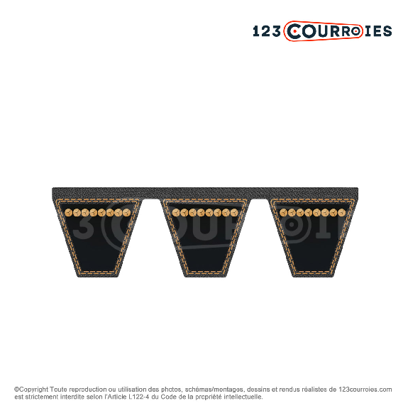 Courroie trapézoïdale multiple 73 mm-Lire la description