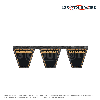 Courroie trapézoïdale multiple 73 mm-Lire la description