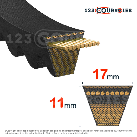 Courroie trapézoidale crantée Gold Label BX 2911 Ld / 17 x 2871 Li-Lire la description