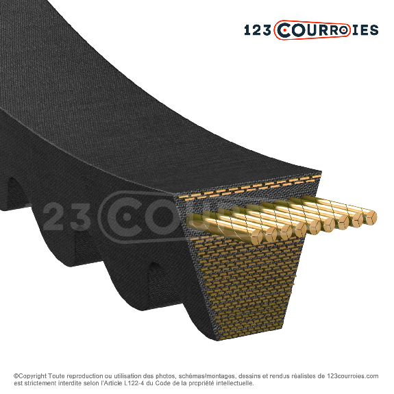 Courroie trapézoidale crantée Gold Label BX 2911 Ld / 17 x 2871 Li-Lire la description