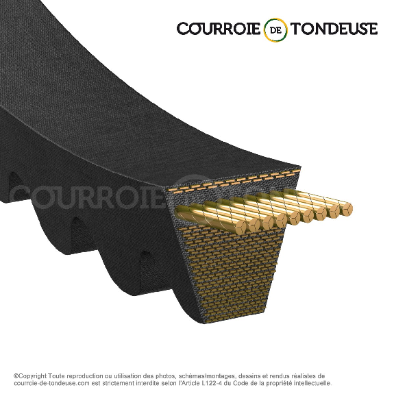 Courroie trapézoidale crantée Gold Label BX 2911 Ld / 17 x 2871 Li-Lire la description