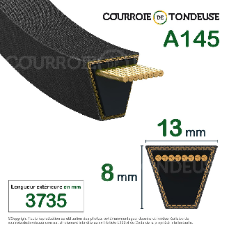 Courroie trapézoidale lisse Conti V A145 13 x 3683 Li / 3713 Ld-Lire la description