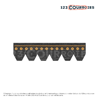 Courroie Poly-V striée automobile 6PK1350TM-Lire la description