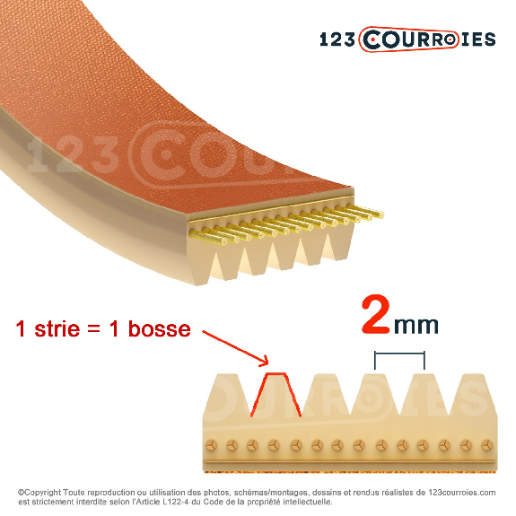 Courroie poly-v 6-330TB2-Lire la description