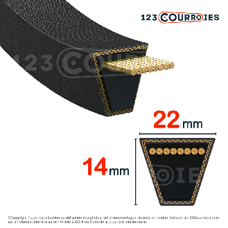 Courroie trapézoidale lisse Texrope S84 C84 / 22 002247/22 x 2159 Li-Lire la description