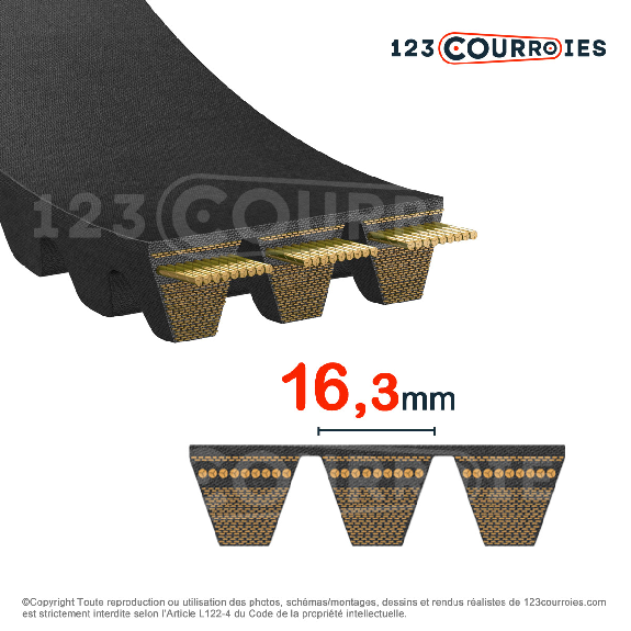 Courroie Quad Power 4 Powerband 2-XPB1550-Lire la description