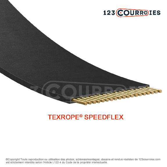 Courroie plate sans fin Speedflex T1-530-80-TEXROPE Courroie plate sans fin Speedflex T1-530-80-TEXROPE-Lire la description