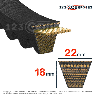 Courroie trapézoidale crantée Texrope HFX Plus XPC1900-Lire la description