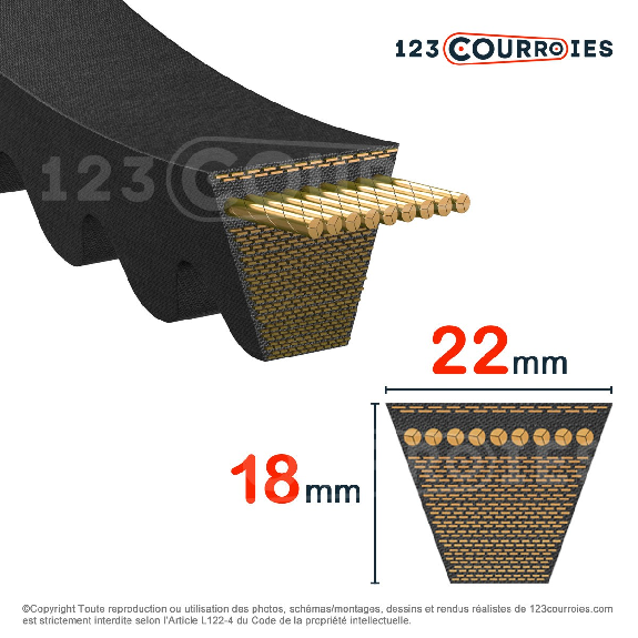 Courroie trapézoidale crantée Texrope HFX Plus XPC1900-Lire la description