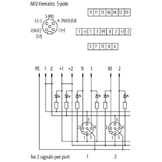 Répartiteur 8xM12 5p NPN-LED; Sans câble préconfectionné-Lire la description