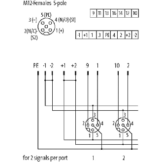 Répartiteur 4xM12 5p sans LED; Sans câble préconfectionné-Lire la description