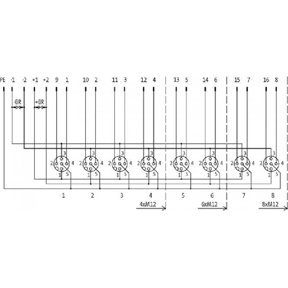 Répartiteur 6xM12 5p, avec commun non séparé, sans capot, sans Led-Lire la description