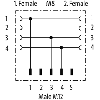 Coupleur en T SlimLine M12-Mâle 3p/2x M8-Fem 3p